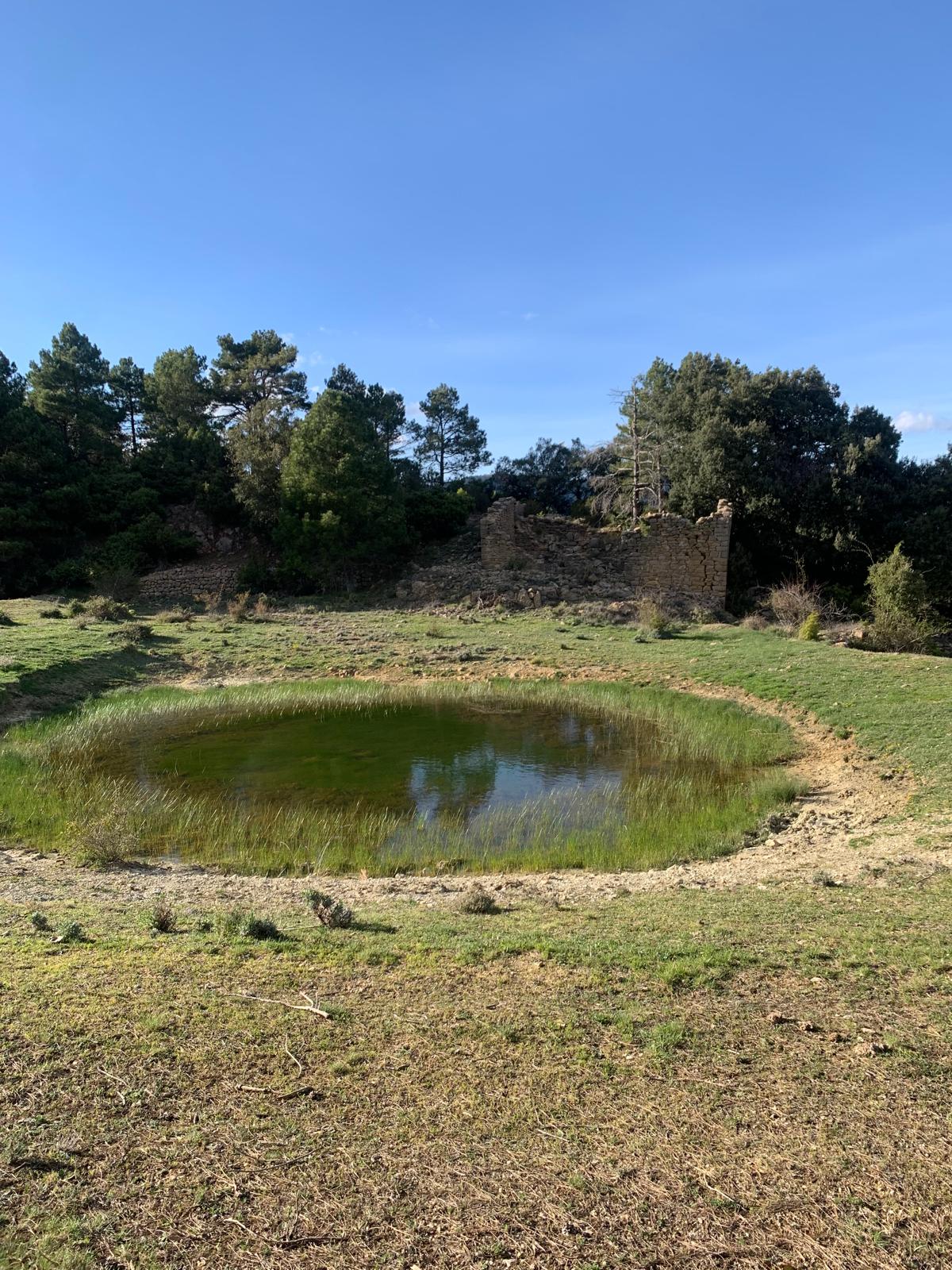 12151, ,Terreno,En Venta,1013