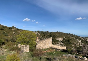 12151, ,Terreno,En Venta,1013